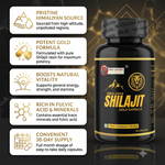 Shilajit Capsule